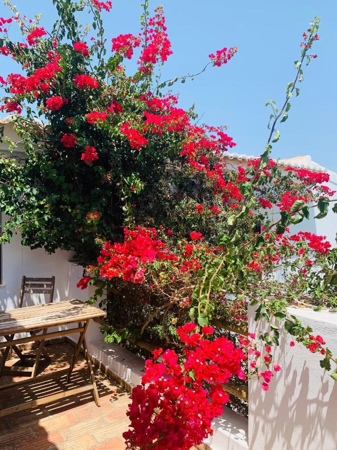 Dona Maria 66 Βίλα Luz Εξωτερικό φωτογραφία