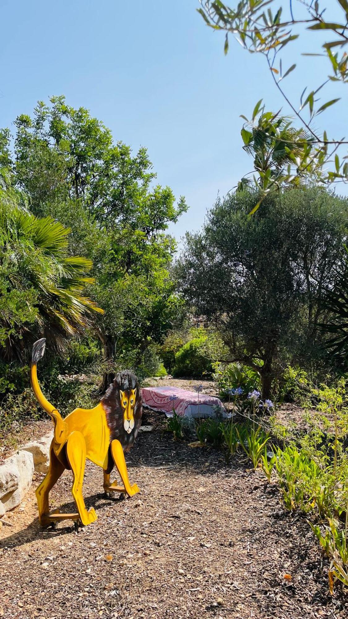 Dona Maria 66 Βίλα Luz Εξωτερικό φωτογραφία